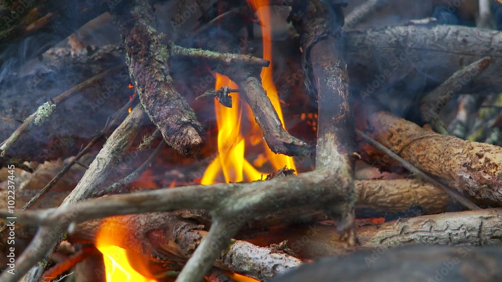 Tongues of flame bonfire close-up Tongues of flame bonfire close-up