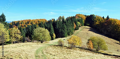 autumn meadow with colorful forest around and clear sky in Moravskoslezske Beskydy mountains - Mala Kykula hill near Jablunkov city photo