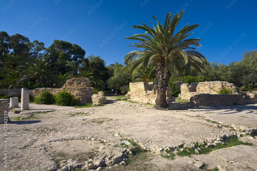 Fototapeta premium Tunisia. Ancient Carthage. Fragment of Archaeological Park