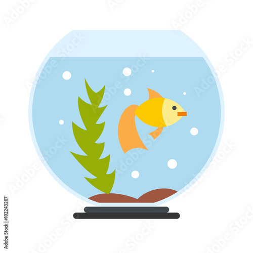 Aquarium flat icon