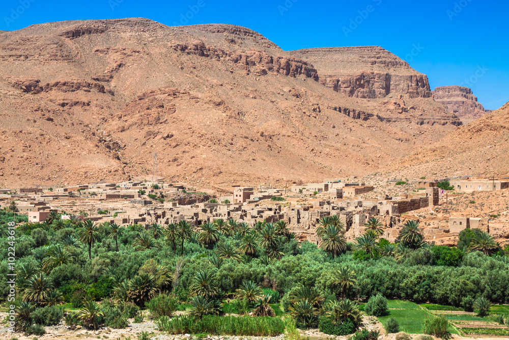 Wide view of cultivated fields and palms in Errachidia Morocco N