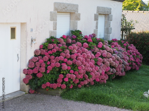 Saint-Cast-le-Guildo 
 photo