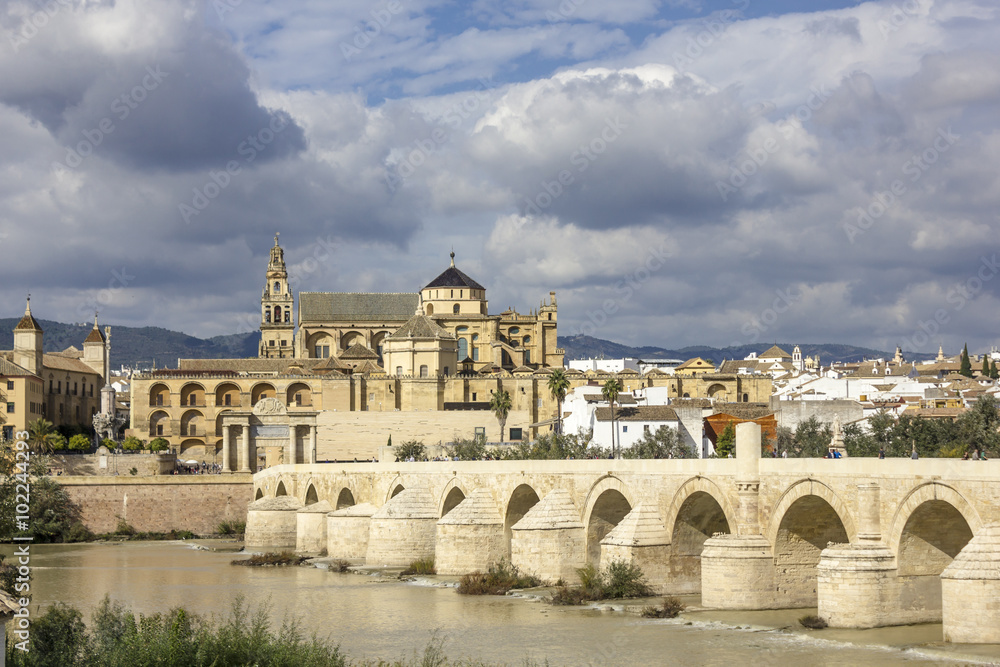 Mosque and Roman Bridge in Cordoba - Spain