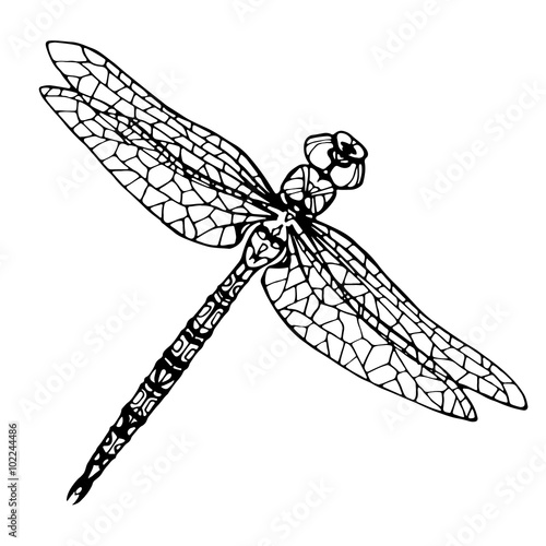illustration with dragonflies