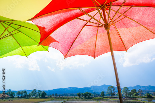 umbrella, red umbrella with rice field and blue sky.