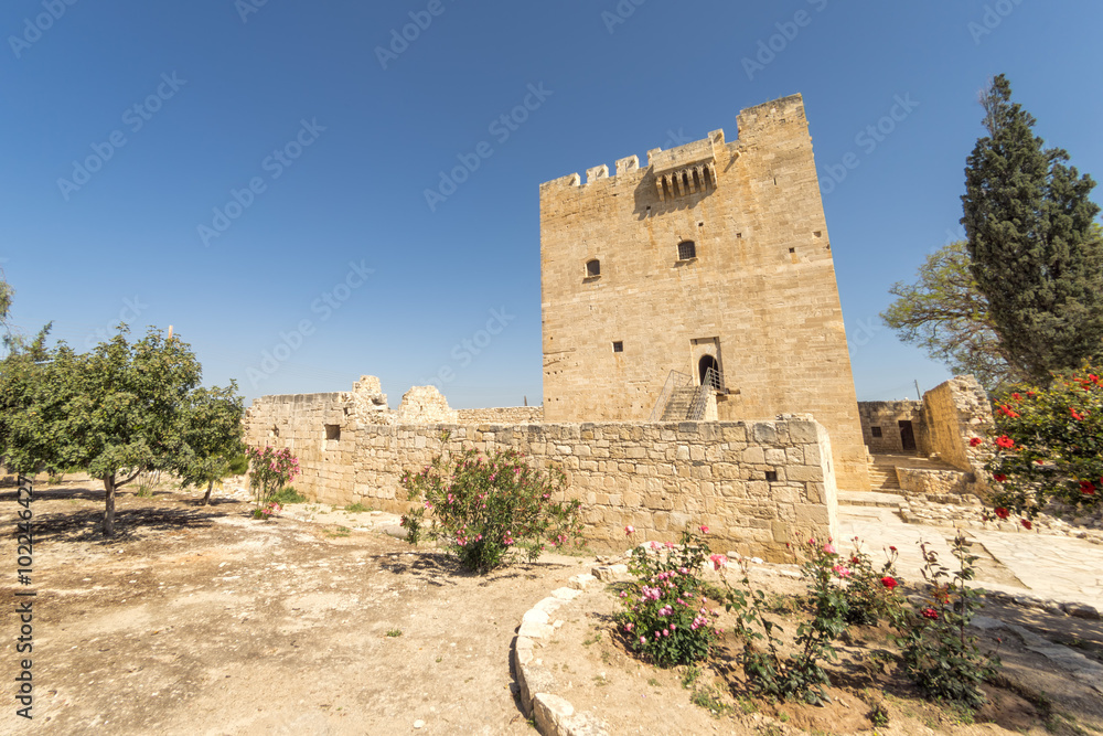 Medieval Limassol Castle fisheye view. Cyprus.
