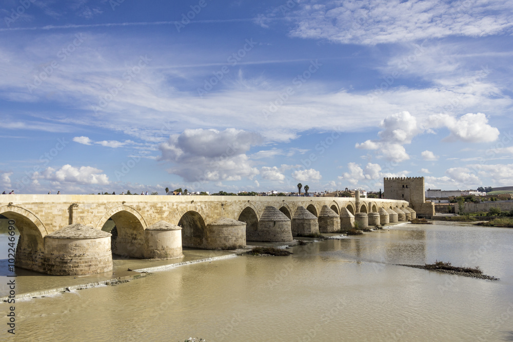 Roman Bridge and Tower of Calahorra in Cordoba - Spain 