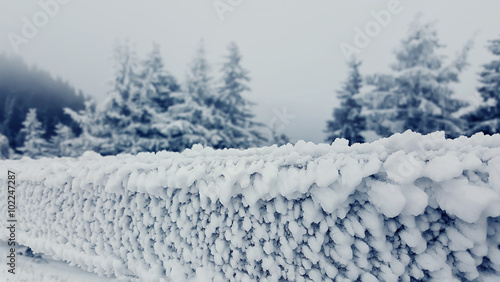 Winter landscape with snowed trees, and wooden fence covered with frost. Sinaia, Romania.