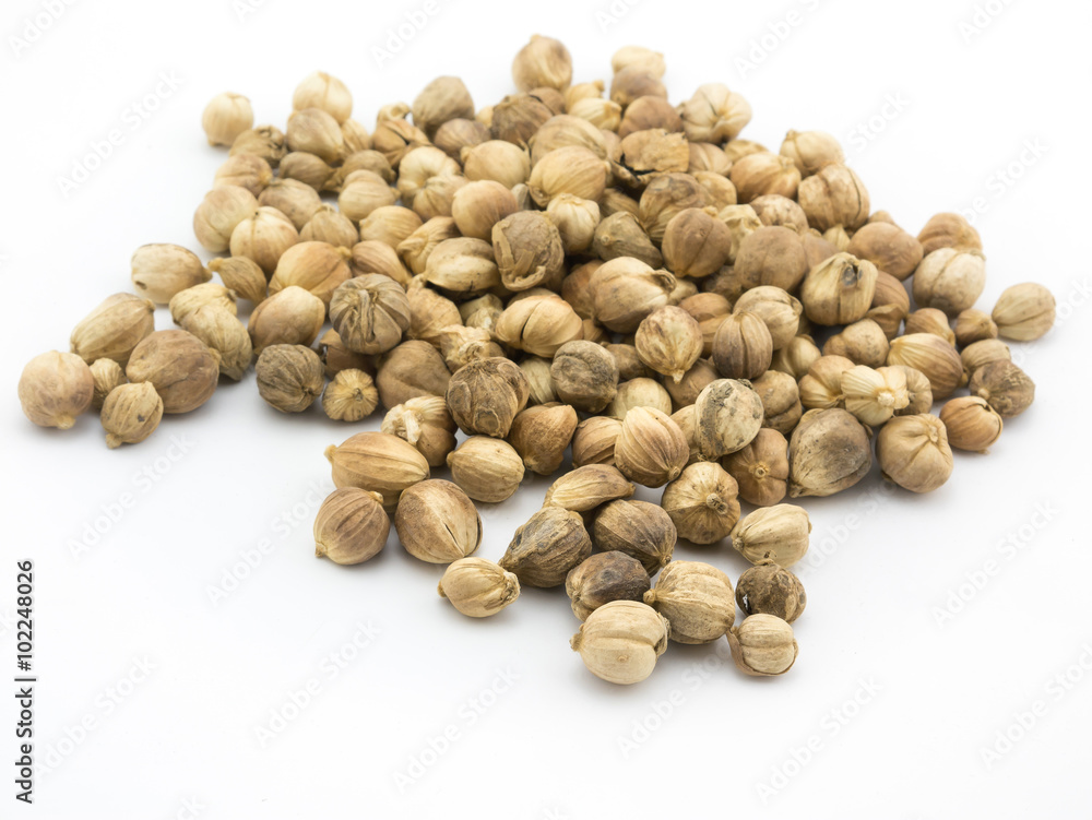Cardamom seed isolated on white background Cardamom seed isolated on white background