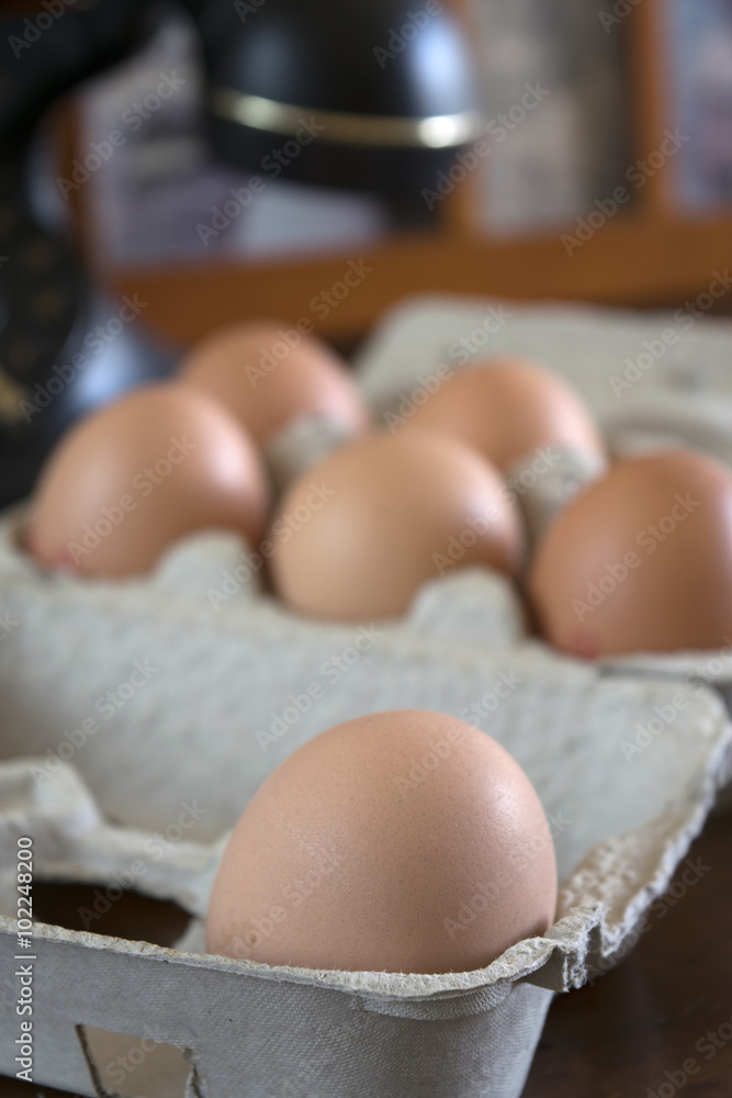 fresh and organic eggs fresh and organic eggs