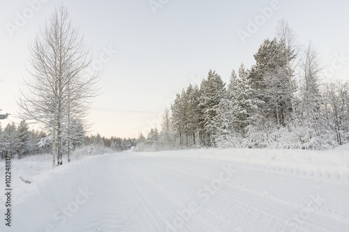 road in winter at dawn © kochievmv