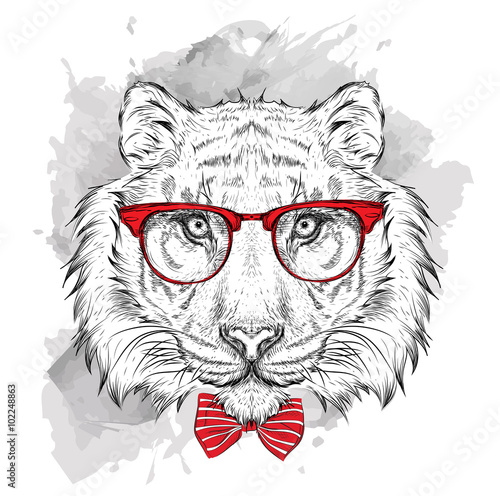 Image Portrait tiger in the cravat and with glasses. Hand draw vector illustration.