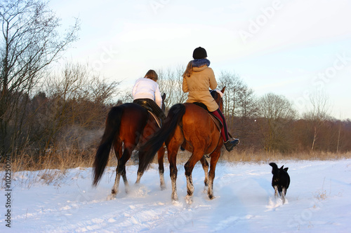 horses and riders in winter