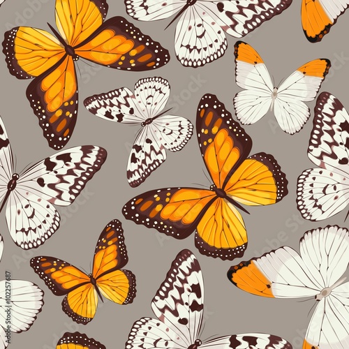 Colorful butterflies seamless