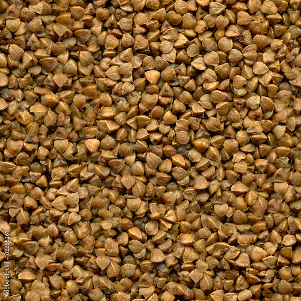Seamless texture of buckwheat Seamless texture of buckwheat