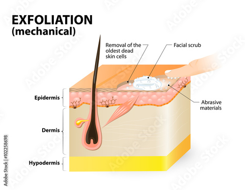 Exfoliation. cosmetology