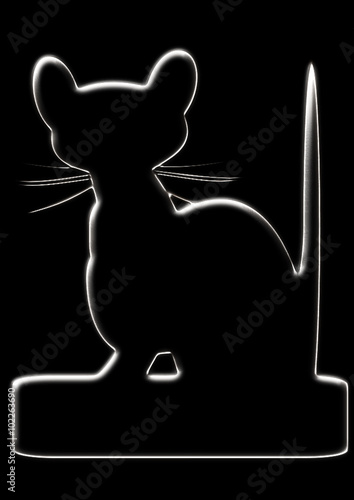 Silueta gato negro en la noche.