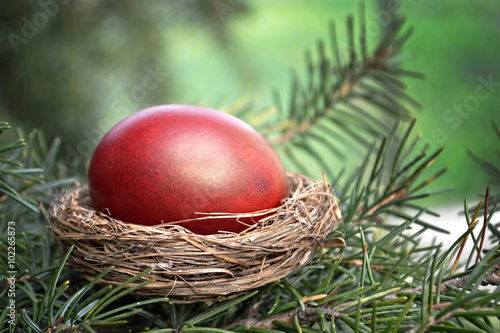Easter nest on the tree