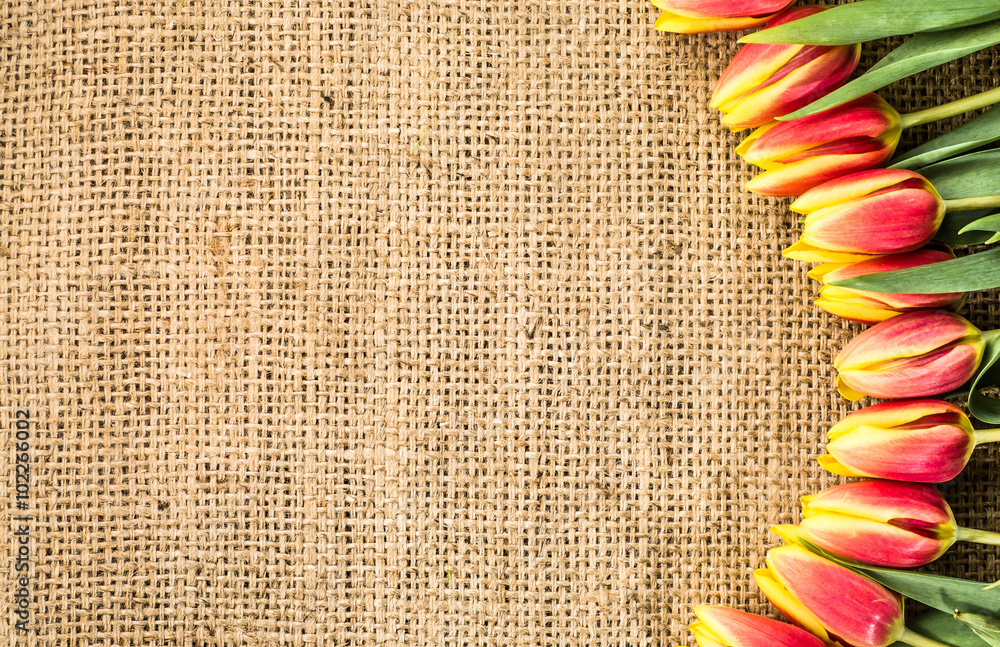 Tulips ornaments on jute. Background with copy-space useful as  greeting-card or wallpaper Stock Photo | Adobe Stock