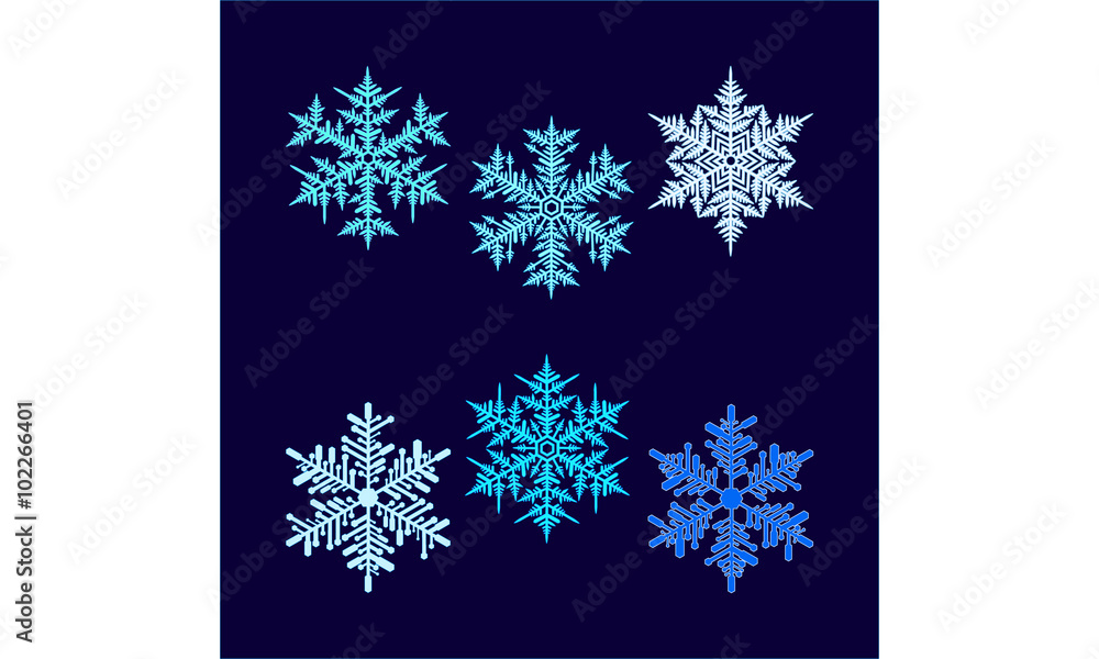 Six vector beautiful hex-shaped snowflakes on a dark blue background.