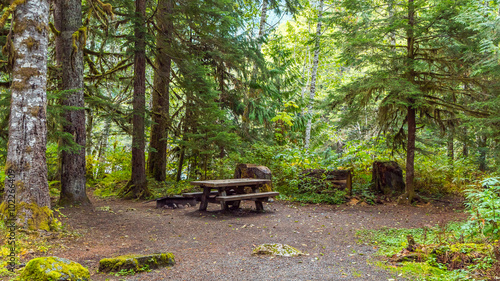 Camping in the forest