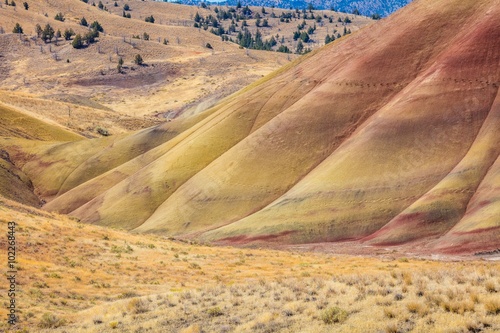 Carrol Rim trail, Painted Hills, John Day Fossil Beds National Monument, Oregon