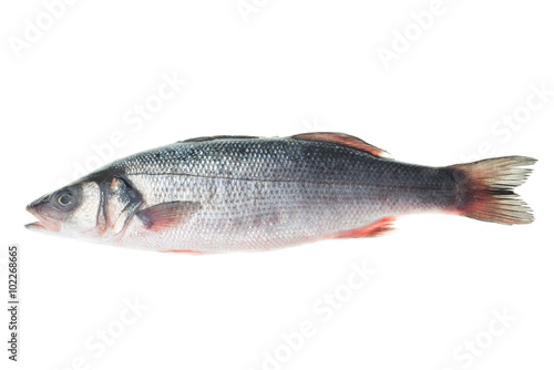 Frozen seabass