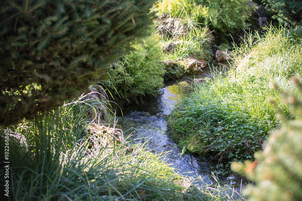 Little Stream on mountain. Surrounded by the grass and forest. Little Stream on mountain. Surrounded by the grass and forest.