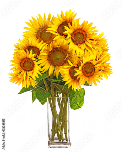 Fototapeta Naklejka Na Ścianę i Meble -  a big bunch of sunflowers in a vase