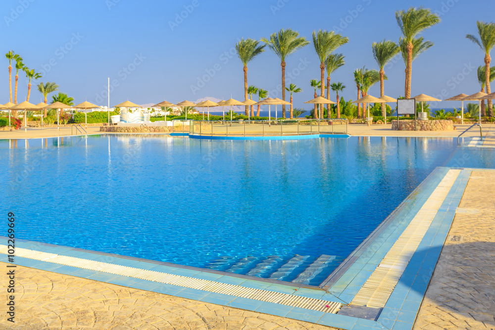Beautiful swimming pool and palm trees in Egypt 