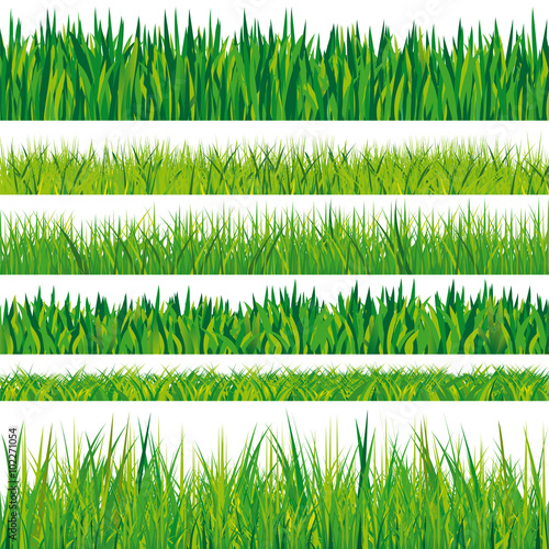 Gras Textur Set, isoliert, weißer Hintergrund, 