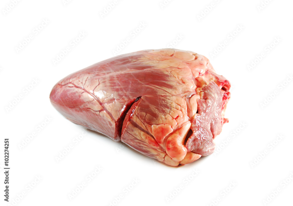 Raw fresh beef heart isolated against white background