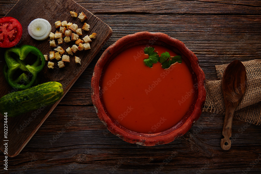 Gazpacho andaluz tomato soup and vegetables