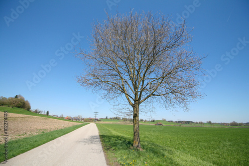 Ein Spaziergang im bayerischen Voralpenland