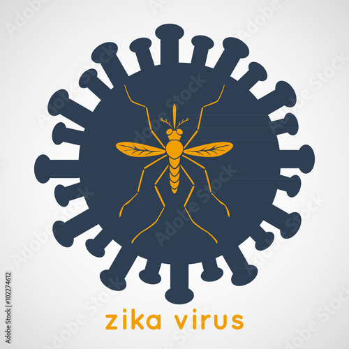 zika virus vector