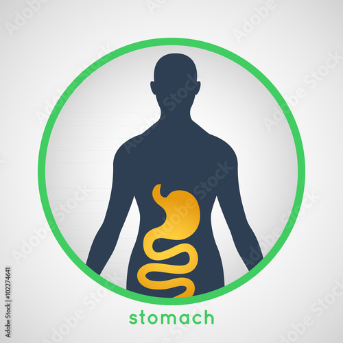 stomach logo vector
