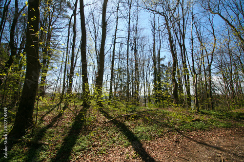 Ein Spaziergang im bayerischen Voralpenland