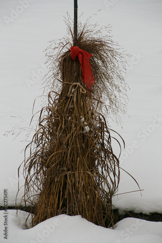 Ein Spaziergang im bayerischen Voralpenland