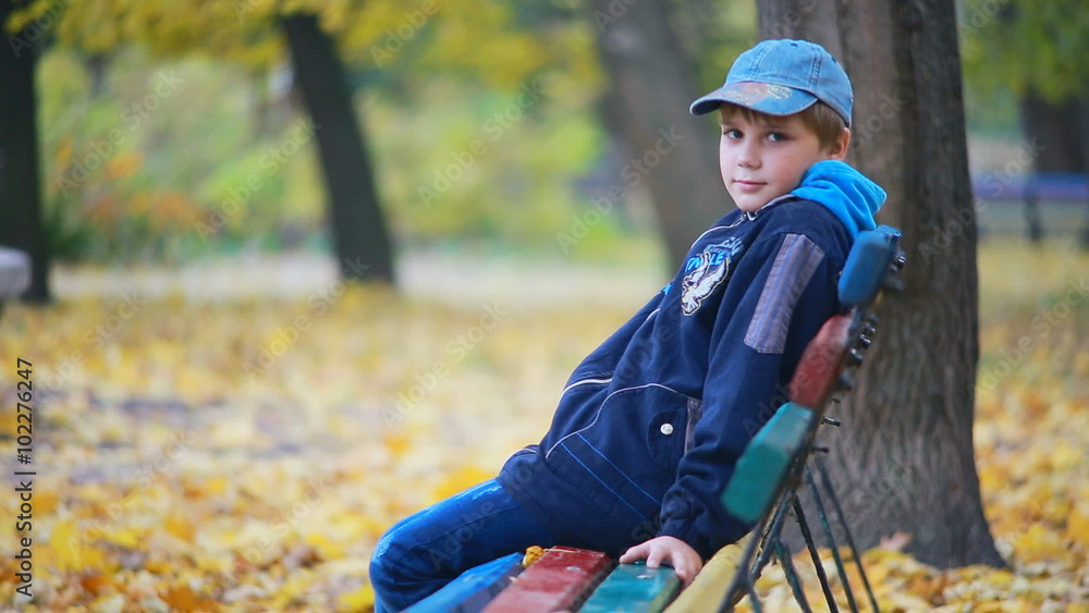 child boy teen schoolboy in in the autumn park child boy teen schoolboy in in the autumn park