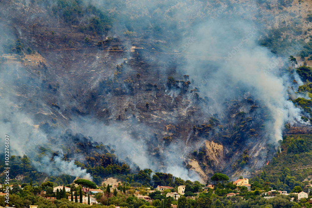 Obraz Italy, Ventimiglia, 2015.09.09: Fire in the forest mountain in the Italian town of Ventimiglia, all the mountains in the smoke, the villa is on fire, the fire service aircraft extinguish a fire