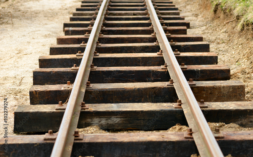 Fototapeta premium a single track of a Railroad