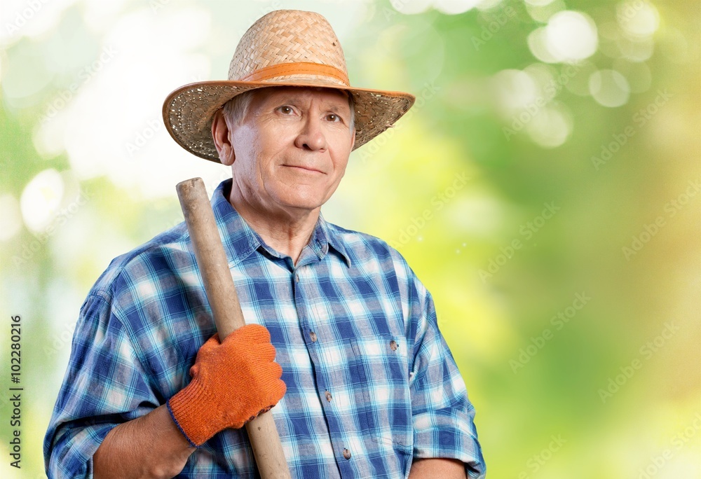 Fototapeta premium Gardening.