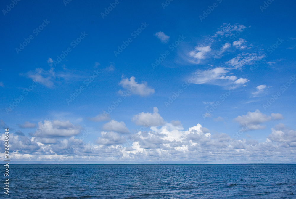 beach and tropical sea