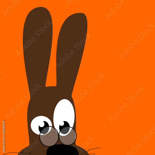 Hase