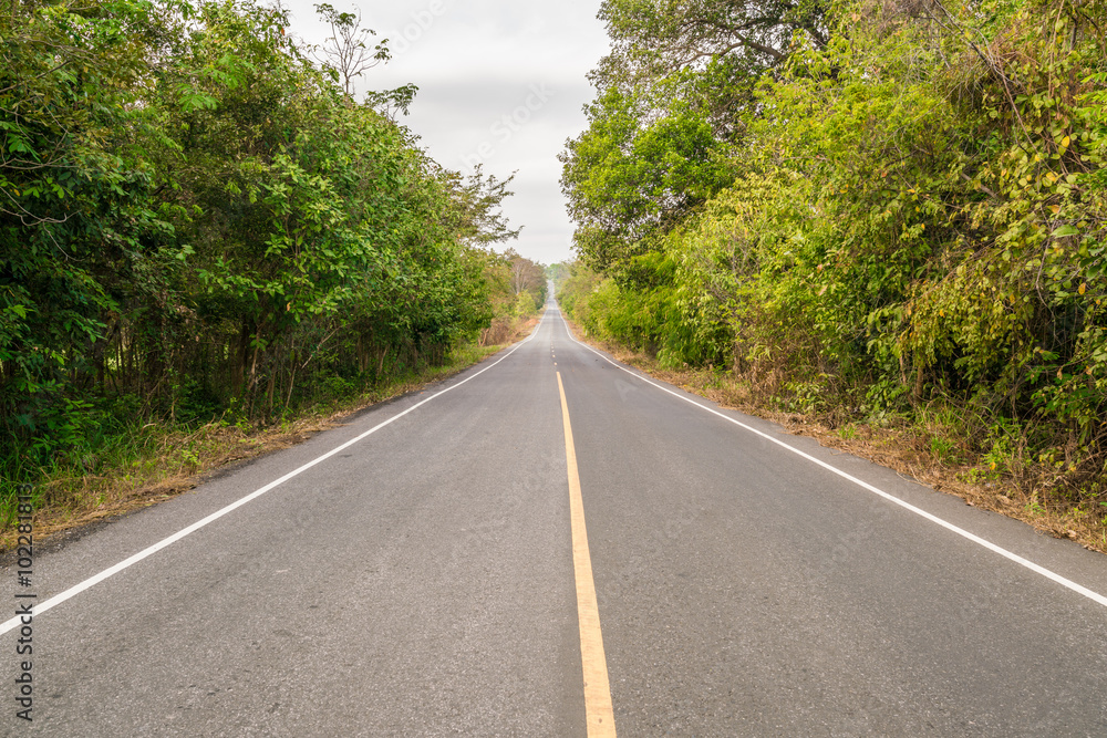 Fototapeta premium Long macadamized road ahead with trees and sky clouds : countryside Thailand