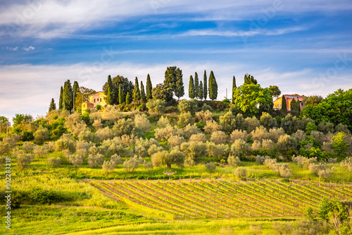 Beautiful tuscany landscape at spring   Italy