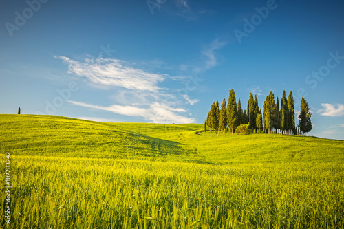 Beautiful landscape in Tuscany  Italy