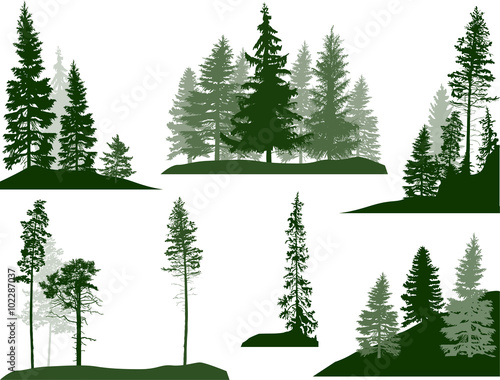 set of green pine and fir trees on white