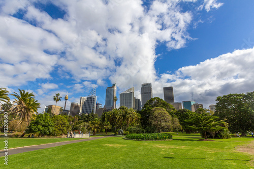 Sydney skyline © Premium Collection