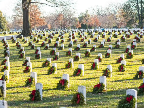 The Arlington Cemetery Decorated